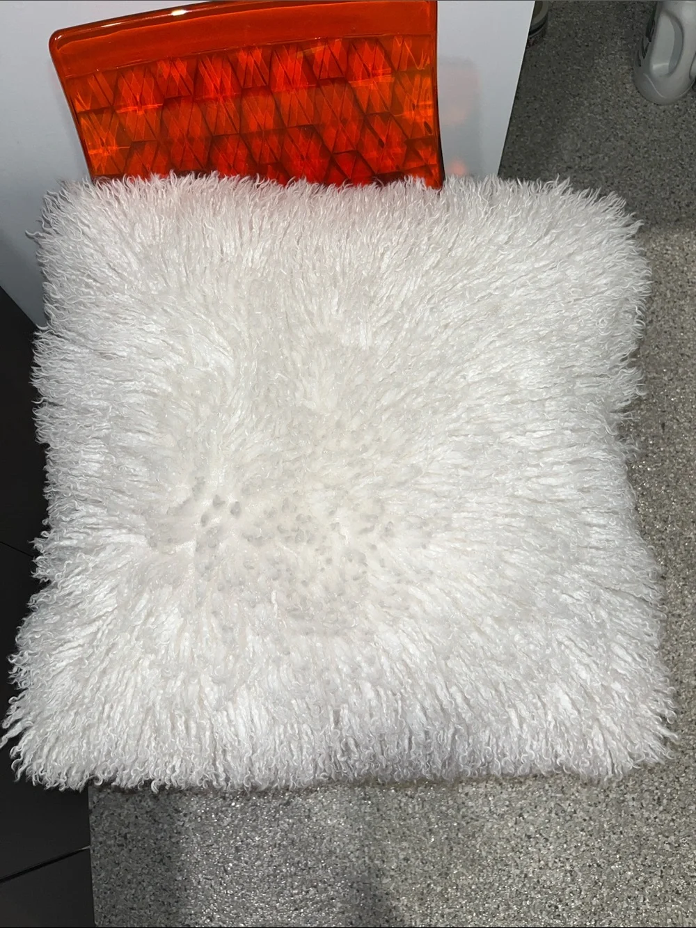 Amazing Beautiful REAL Mongolian Sheep  20 by 20 pillow with pillow insert